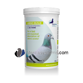 Pigeons & Birds products: PHP Amino Build 250gr, (For a FAST and MAXIMAL absorption of amino acids!)