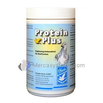 Protein Plus, Backs, Backs Pigeons products