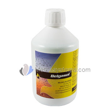 Belgica De Weerd Belgasol 500 ml (electrolytes, vitamins, traceelements and amino acids)
