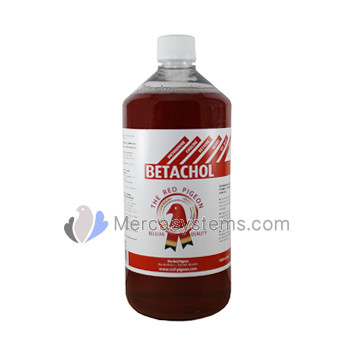 Racing Pigeons Store: The Red Pigeon Betachol 1L, (detoxifies the body). For pigeons and birds