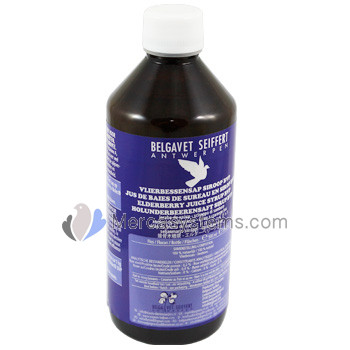 BelgaVet Elderberry juice sirop BVP 500 ml (keep your pigeons healthy)