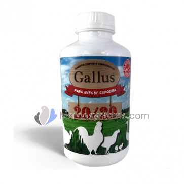 Gallus 20/20 250gr (natural preventive against salmonella and E-coli)