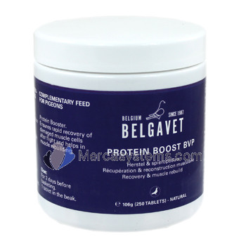 Belgavet Protein Boost 250 pastillas (Proteínas para una recuperación rápida). Para palomas y pájaros.