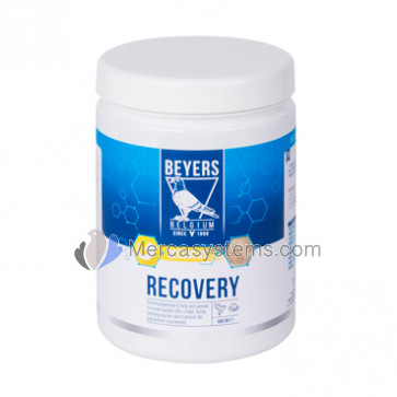 Beyers Recovery 600gr, (recovery after flights)