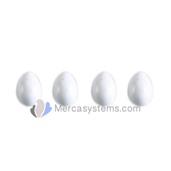 STA Small plastic egg for canary