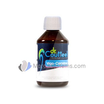 Dr Coutteel Vigo-Carnitine 250ml, (L-carnitine enriched with agnesium, choline, inositol). Racing Pigeons