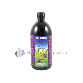 DHP Cultura Vitasol 500ml, (for a perfect recovery after the flights)