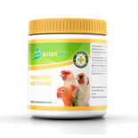 Avianvet Bacterial Probiotic 1kg, (Improves and stimulates the intestinal flora)